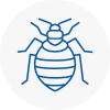 Bed Bug Extermination In Shipston On Stour