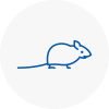 Mice Exterminators In Shipston On Stour